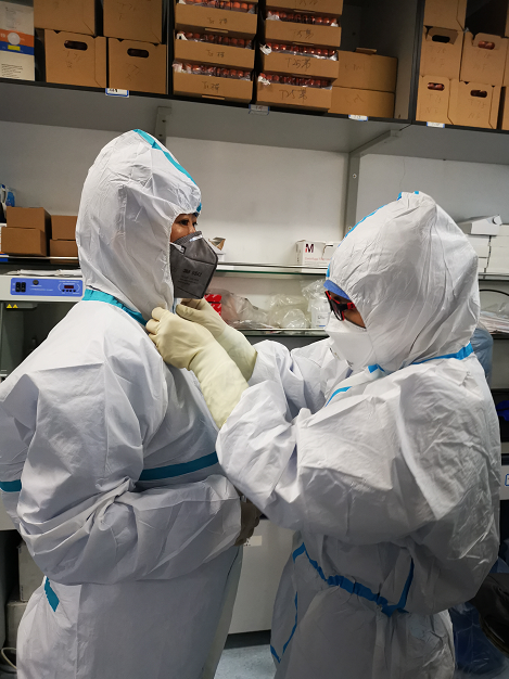 image.png W020210111402582837431.png