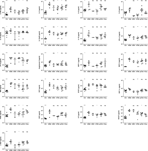 image.png W020210111400163416987.png