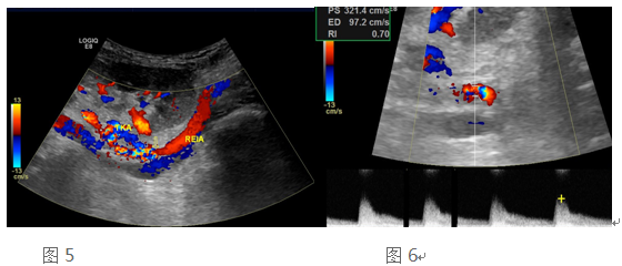 3.png W020210111397694632293.png