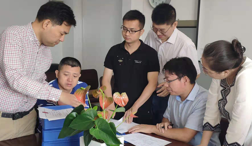 image.png W020210111401874341170.png